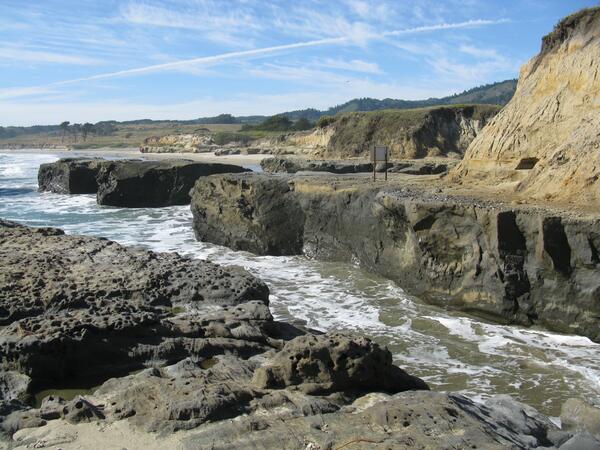 Sea terrace at Año Nuevo Point, California