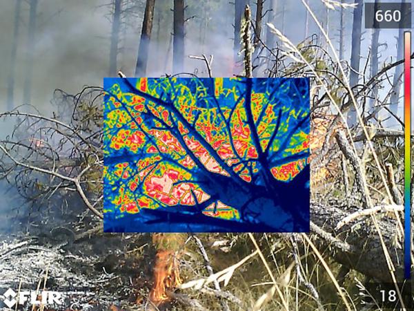 Thermal imaging for fire research