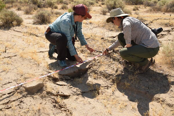 two women making measurements of a rupture in the ground surface