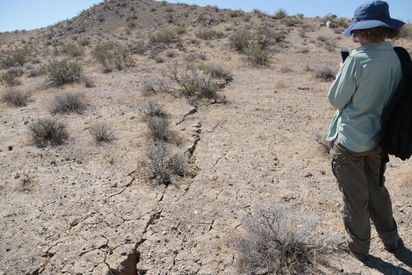 A woman stands along a rupture in the ground surface