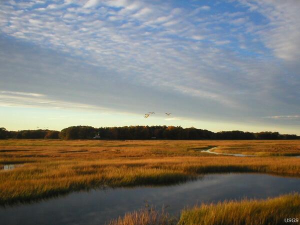 Tidal Marshland in the Plum Island Estuary, Massachusetts