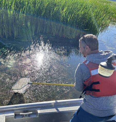 Jan Lovy (right) and James Ross, a Fisheries Technician with the Bureau of Reclamation collect snails in Upper Klamath Lake