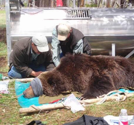 Image: Collecting Biological Data