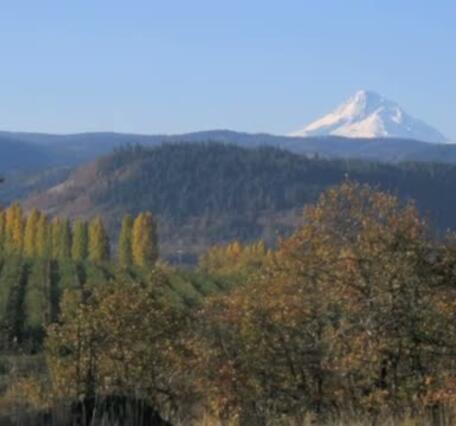 video thumbnail: 3-D Geologic Model of Columbia Plateau Aquifer System