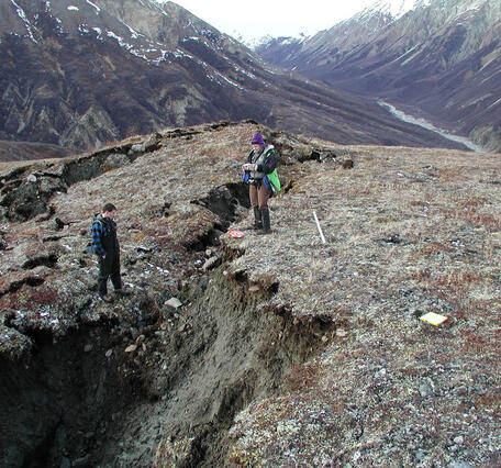 Image: Denali Fault