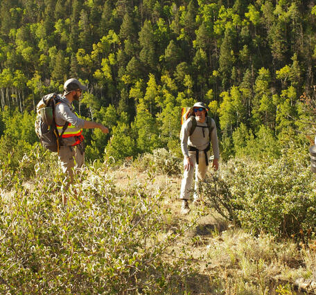 Intermountain West Project members performing field work at Great Sand Dunes National Park and Preserve