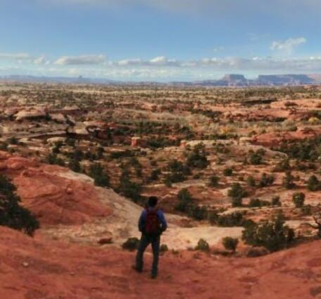 A person looks out over a panorama of Canyonlands National Park, Utah