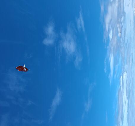 Drone in air against blue sky, scattered clouds, ocean water near beach shore. Large case on ground grass in background.  