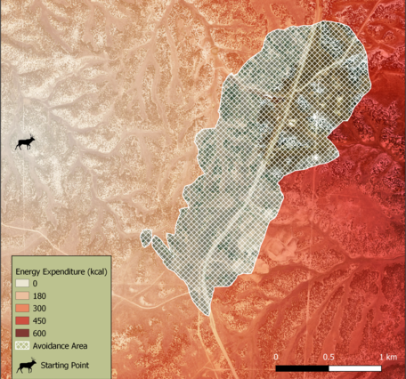 An image of energy expenditure of mule deer after the addition of natural gas pads.