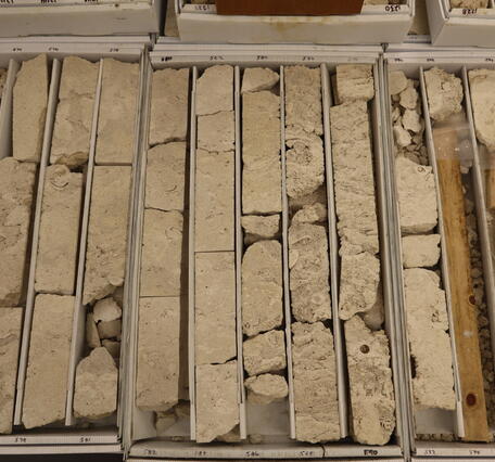 Rock core sample in CACL at the Carribean-Florida Water Science Center