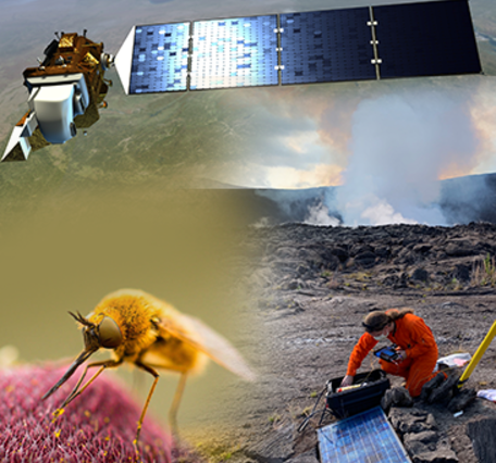 Image Collage of Landsat, pollinator, and volcanologist