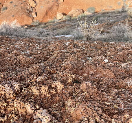 Photograph of biological soil crusts (biocrusts) taken during a UAS mission in Utah