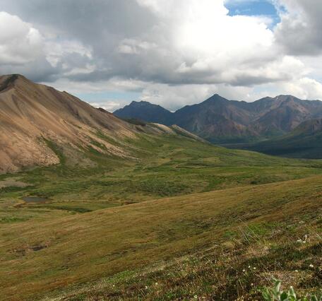 Alaskan tundra