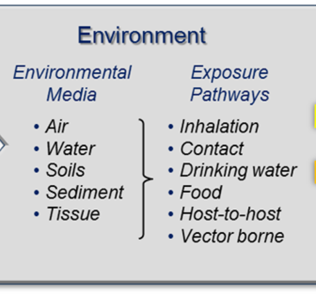 The USGS Environmental Health Science Strategy addresses the relationship among environmental drivers