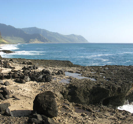 Coral reef and overlying marine deposits a few meters above sea level, south of Kaena Point, Hawaii