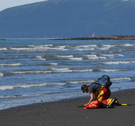 Photo of WERC scientist Dr. Lizabeth Bowen searching for mussels