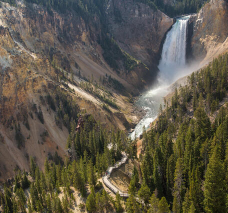 This is a photo of Lower Yellowstone Falls.