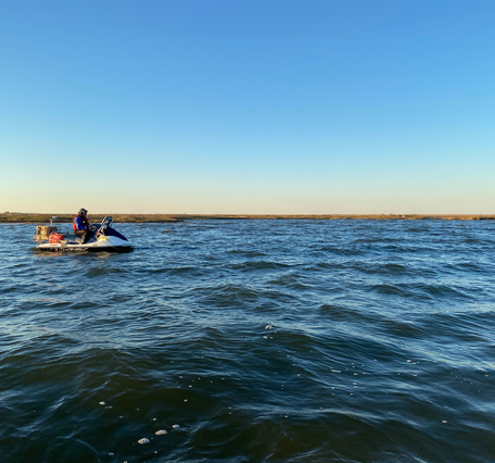 A scientist sits on a personal watercraft near a vegetated, marsh shoreline. 