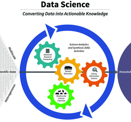 Science Analytics and Synthesis (SAS) Data Science – Converting data into actionable knowledge.