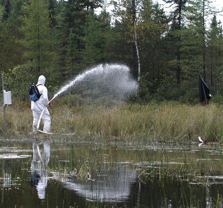 Applying a solution of water and a stable isotope of mercury (202Hg) on the shores of a lake in the Experimental Lake Area 