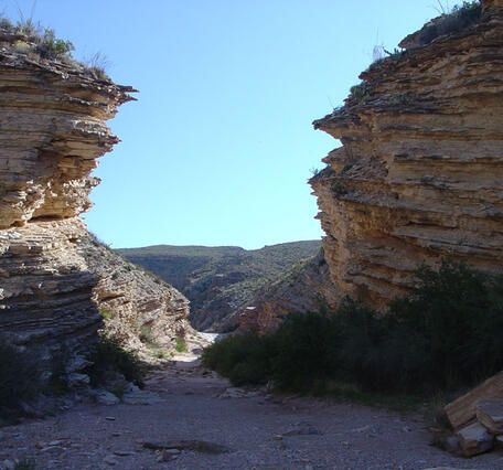 This is a photo of the geology of Big Bend National Park.