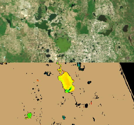 Satellite Image Showing Estimated Cyanobacteria Concentrations