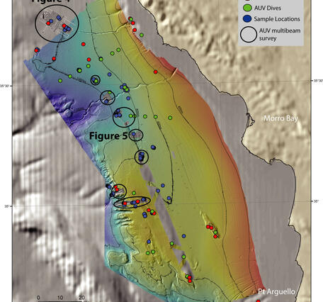 Illustration of the seafloor off a coastal area, with lines and dots to show where data was collected.