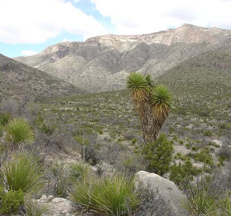 This is a photo of Guadalupe Mountains National Park.