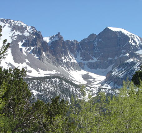 Wheeler Peak with Glacier