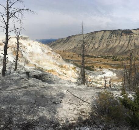 Angel Terrace, Mammoth Hot Springs, Yellowstone National Park.