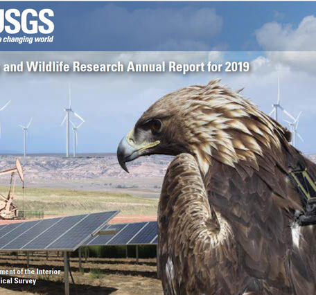 Cover of 2019 Energy and Wildlife Research report.