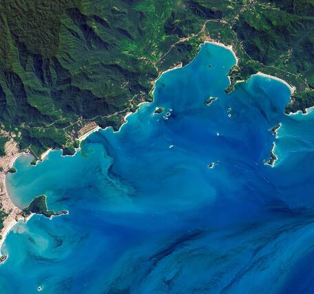 Algal bloom off the coast of Brazil, Landsat 2017 image