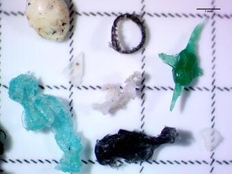 Microplastic fragments