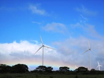 Wind turbines and a rainbow towering high above trees on an island in Hawaii. Paul Cryan, USGS, Fort Collins Science Center.