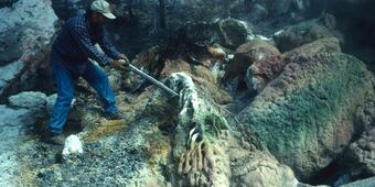 Image: Finding the Fumarole Vent