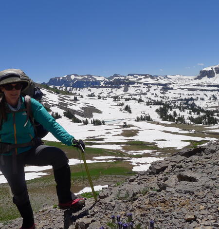 Grand Teton Nat'l Park, 2014