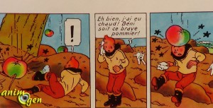 L'araignée dans Tintin