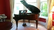 Baby Grand Piano