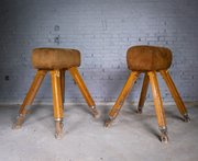 Near Pair Suede Niels Larsen & Son Pommel Horses