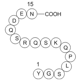 Myelin Basic Protein (68-82), guinea pig