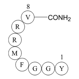 Adrenorphin