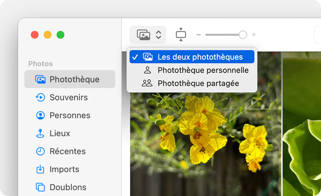 Vous pouvez basculer entre les vues Les deux photothèques, Photothèque personnelle et Photothèque partagée. 