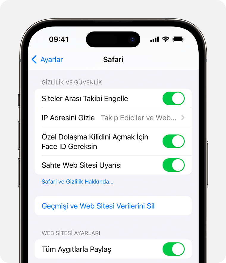 ios-17-iphone-14-pro-settings-safari-clear-history-and-website-data