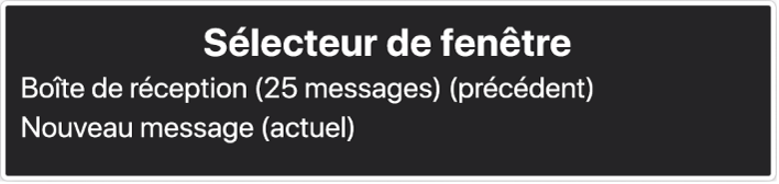 La sous-fenêtre Sélecteur de fenêtre affiche une liste des fenêtres actuellement ouvertes.