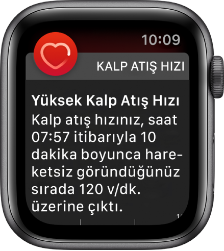 10 dakika boyunca hareketsiz olduğunuz sürede kalp atış hızınızın 120 BPM’nin üzerine çıktığına dair bir bildirim gösteren Yüksek Kalp Atış Hızı ekranı.