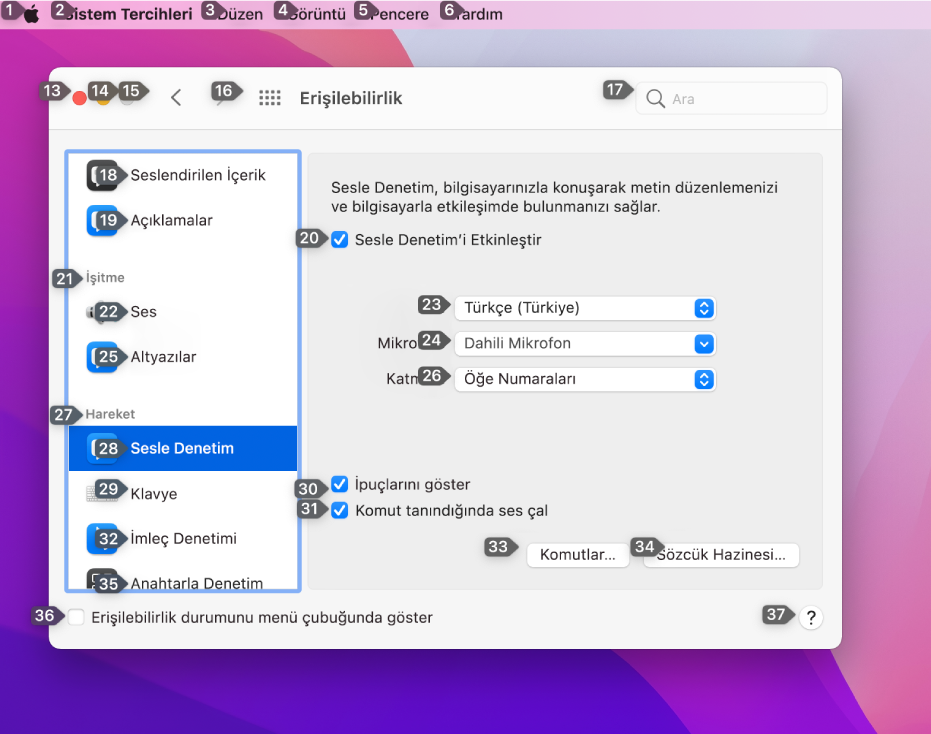 Menü çubuğunun, menü çubuğundaki her öğenin yanında bir numara gösteren sol bölümü. Alt tarafta, Erişilebilirlik tercihlerinin, her kullanıcı arayüzü denetiminin yanında bir numara gösteren Sesle Denetim bölümü.