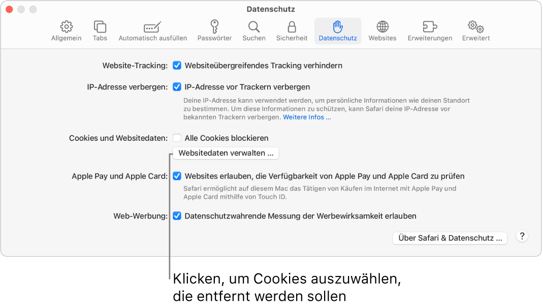 Der Bereich „Datenschutz“ der Safari-Einstellungen