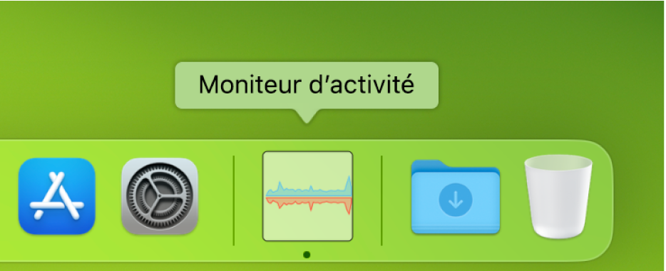 L’icône Moniteur d’activité dans le Dock affichant l’utilisation du réseau.