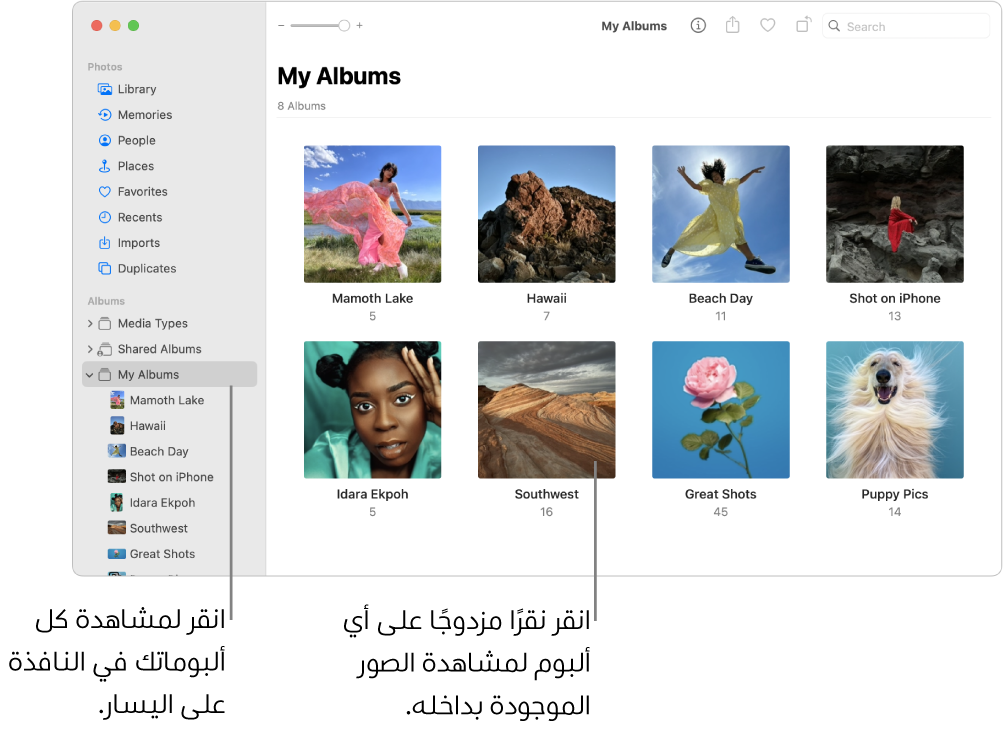 نافذة الصور مع تحديد ألبوماتي في الشريط الجانبي، وتظهر الألبومات على اليسار.
