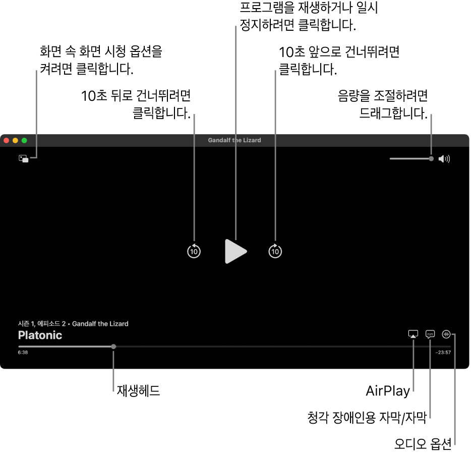 재생 또는 일시 정지, 뒤로 또는 앞으로 건너뛰기, 음량 조절 버튼을 포함한 뷰어의 재생 제어기